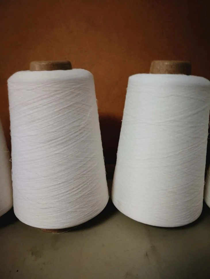 Composite Yarn 20D Polyester Texturized PBT DTY RAW WHITE Yarn And Viscose 100D FDY RAW WHITE Yarn